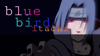 Blue bird 🐦💙 I T A C H I [A M V] Resimi