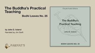 : The Buddha's Practical Teaching