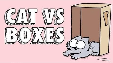Cat vs Boxes: Simon’s Cat | GUIDE TO