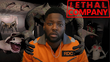 RDC hilarische dodelijke bedrijfsmomenten deel 4