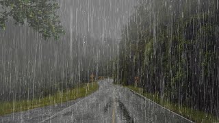 Sonido de Lluvia para Calmar Mente y Dormir Profundamente en 6 Minutos - Lluvia en el Bosque - ASMR