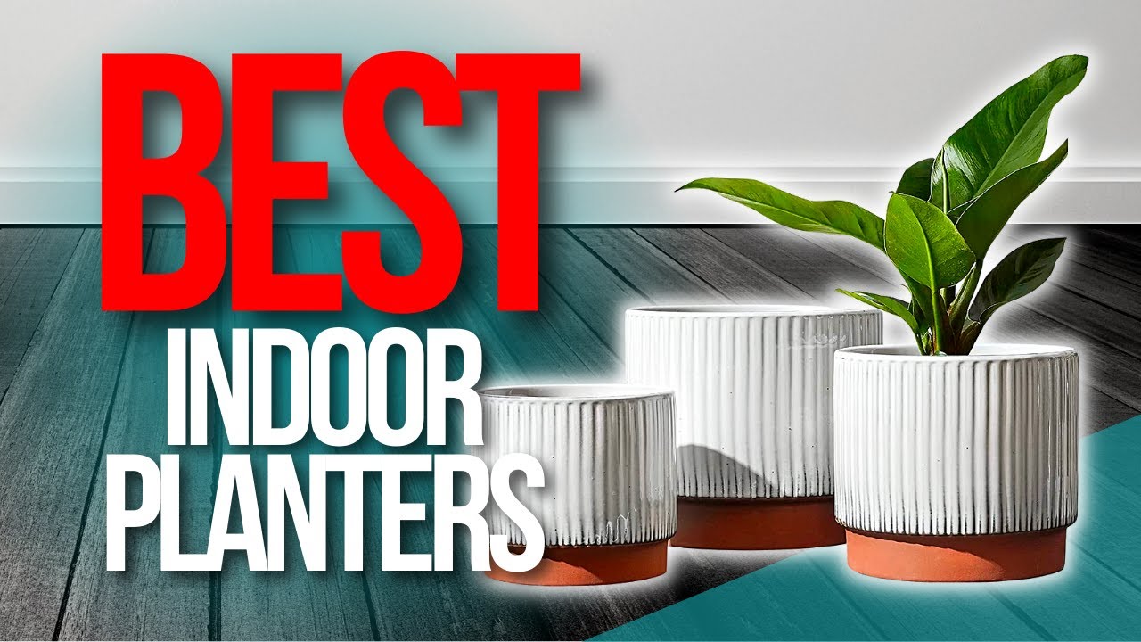 Best Indoor Plant Pots For Houseplants - Indoor Planters