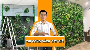 Thi công tường cây giả - Cỏ nhân tạo ốp tường - Vách cây giả trang trí văn phòng