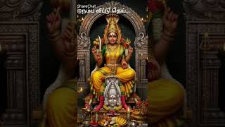 Amma saranam Devi saranam 🙏🙏🙏