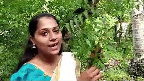 Std 5 Basic Science Unit 1 Class 02 White Board ID