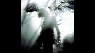 i won't beg for you my dear