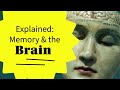 How Do We Remember Things And Why? How Does Our Brain and Memory Work?