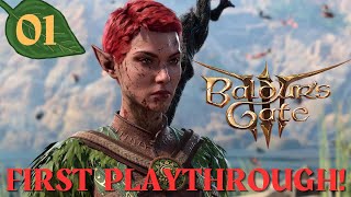 Baldur's Gate 3 Episode 1 Blind Playthrough  First Time Playing