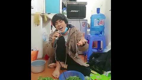 Cô Đôi Thượng Ngàn Vinahouse   Tịnh Cường cover #Shorts