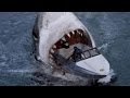 【閲覧注意】絶滅したはずの巨大鮫メガロドンが生存！？その衝撃の事実に世界が震えた！【セカイノフルエ】