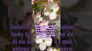 #nosoy #digno #deque #entres en mi #casa