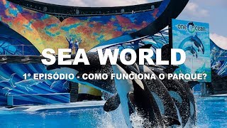 Orlando - Como funciona o Sea World? Com Bruna Carvalho (Chiquititas) e Rogério Enachev