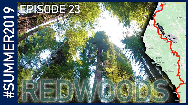 California Redwoods - #SUMMER2019 Episode 23
