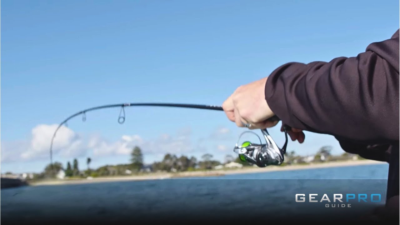 Gettin Nasci.. Is This The Best Budget Friendly Shimano Inshore Fishing Reel