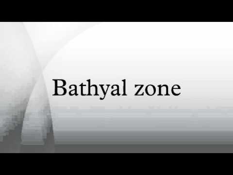 वीडियो: इसे बाथ्याल क्षेत्र क्यों कहा जाता है?