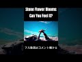 Stone Flower Blooms - Can You Feel It? (shorts ver.) #shorts