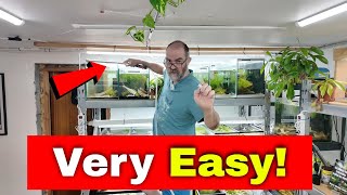 How I Top Up Neocaridina & Caridina Tanks