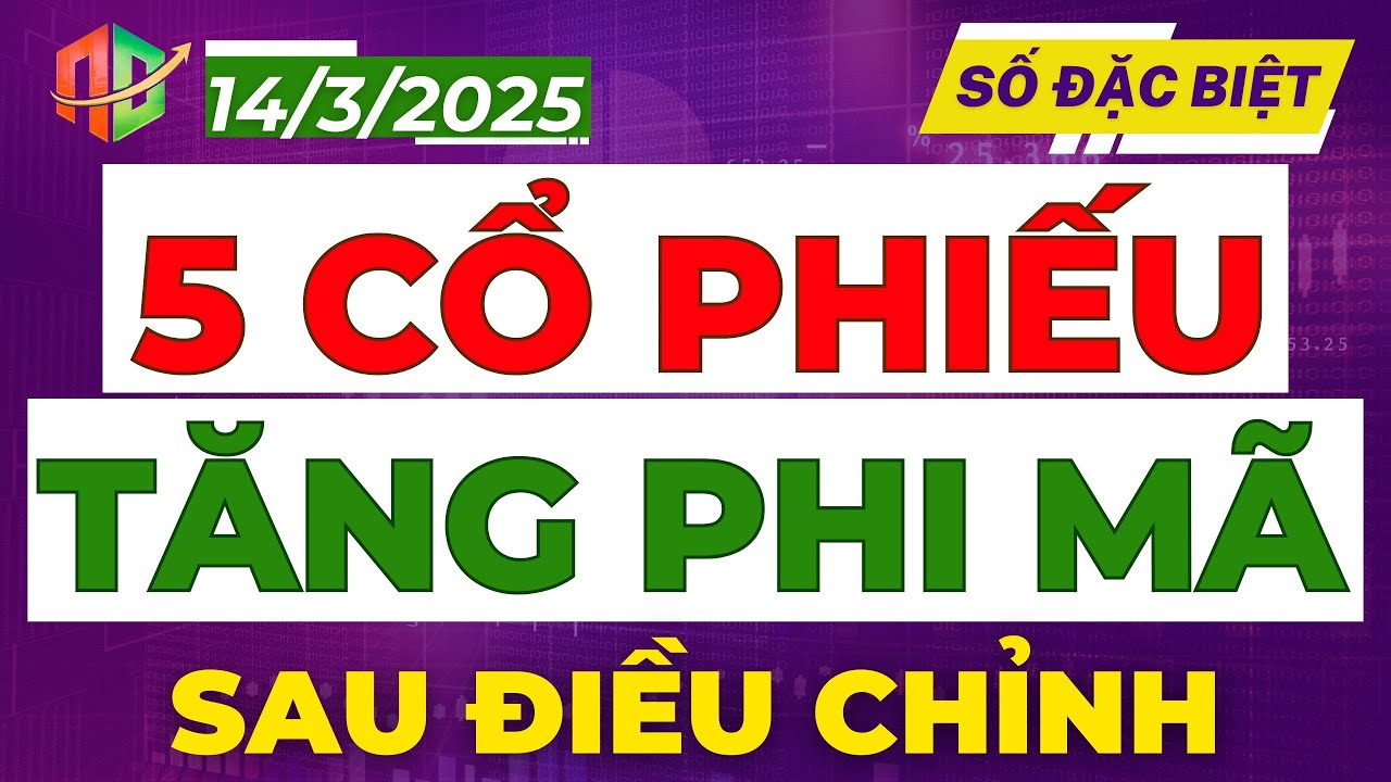 Outline Video TOP 5 CỔ PHIẾU TĂNG PHI MÃ SAU ĐIỀU CHỈNH