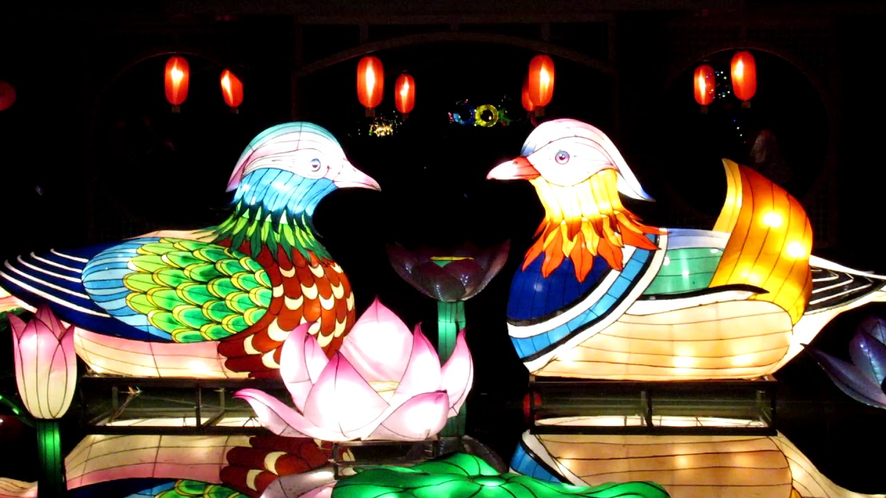 Kids Will Love The Wild Chinese Lantern Festival At Kids Will Love The Wild Chinese Lantern Festival At