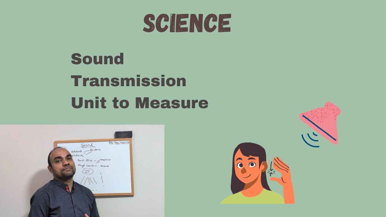 Sound Overview | Speed of Sound, Absorption, Reflection & Decibels | Science