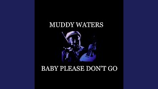 Video thumbnail of "Muddy Waters - Howling Wolf"