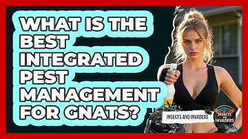 What Is The Best Integrated Pest Management For Gnats? - Insects and Invaders