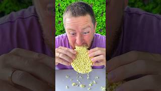 Survival Skills: SIMPLE and USEFUL#bushcraft#camping#outdoor