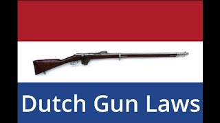 Overview of Dutch gun laws (2022)