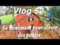 Le minimum pour lever des poules vlog 52