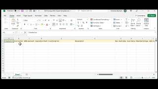 Trouble Shooting Excel Import Details