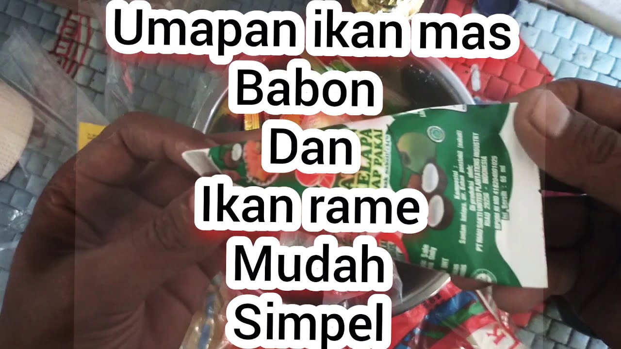 Umpan ikan mas babon ikan rame harian lomba