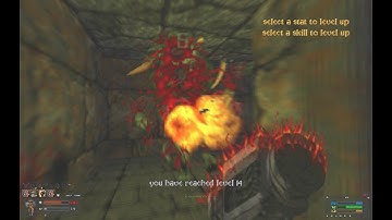 Hexen - Shadows of Cronos - WOC mod - Fighter