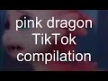 That one pink dragon tiktok compilation 