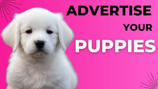 Where to Advertise Puppies for Sale UK. The Best Place To Sell Puppies FREE