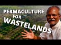 Indias water revolution 4 permaculture for wastelands at aranya farm