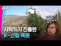 "살아남을 때까지 심는다" 사막을 숲으로 만든 한국인들｜크랩