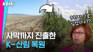 "살아남을 때까지 심는다" 사막을 숲으로 만든 한국인들｜크랩