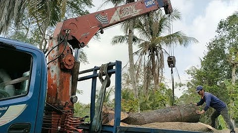 Cần cẩu UNIC 360k , cẩu gốc cây dưới ao lên xe rất đỉnh .