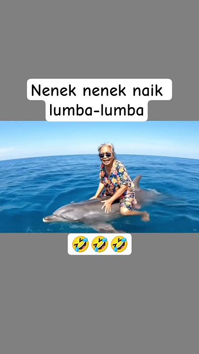 lucu banget nenek nenek naik ikan lumba-lumba 🤣🤣🤣 #veo3 #ai #lucu #hiburan