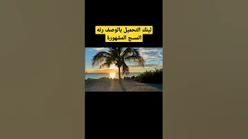رنه مسج تعليماتك يا باشا المشهورة بالتيكتوك 