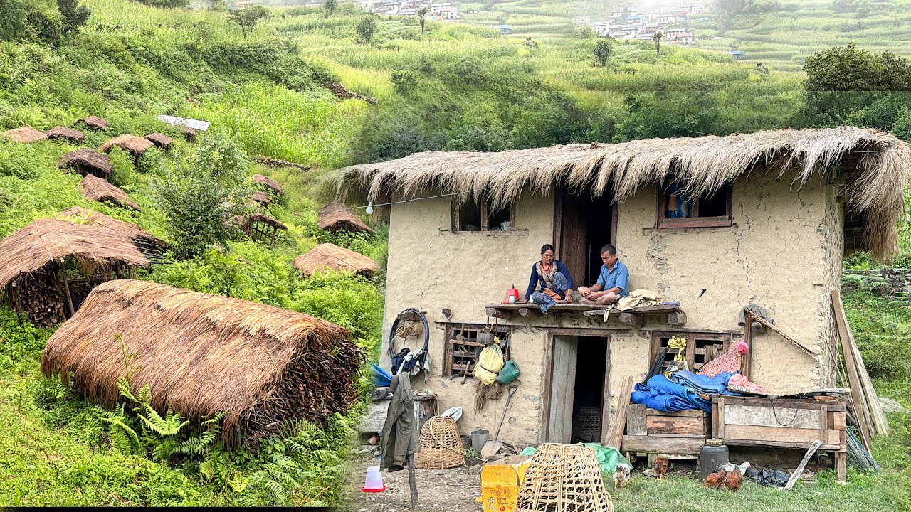 Himalayan village life documentary | Organic Food Cooking in Countryside |