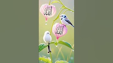 #سورة_الإخلاص #ikhlas #subscribe #egzonibrahimi #travel #nature 🌷❣️🥰