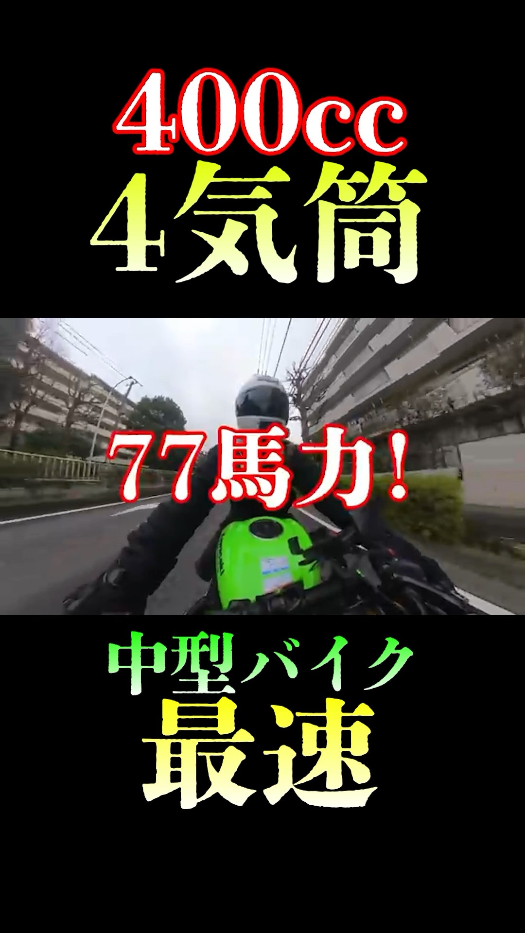 小継 がまはえ　四五 2025年最新】がまはえの人気アイテム - メルカリ