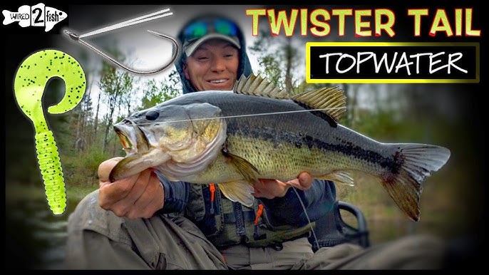 How to Catch Bass  Easy Bass Fishing Tips - Wired2Fish