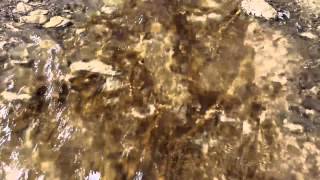 Episode 7 - Module 3: Living within limits II - Introduction: water scarcity