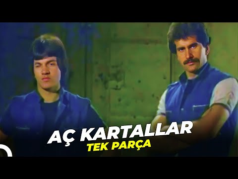 Aç Kartallar | Eski Türk Aksiyon Filmi İzle