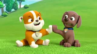 PAW Patrol ''I believe most people are good'' Music Video