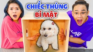 CHIẾC THÙNG BÍ MẬT PHIÊN BẢN THỬ THÁCH SIÊU HÀI | SUNNY TRƯƠNG