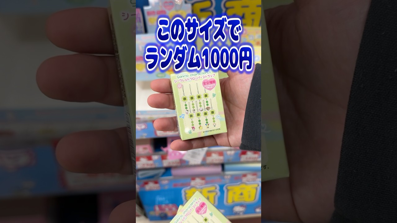 パッケージだけでは高額に感じる。サンリオキャラクターズシークレット