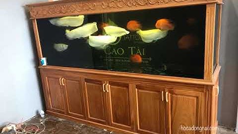 Hồ ca rông 2m6 lắp đặt tại nhà anh Tài Tân Phong - Bien Hoa